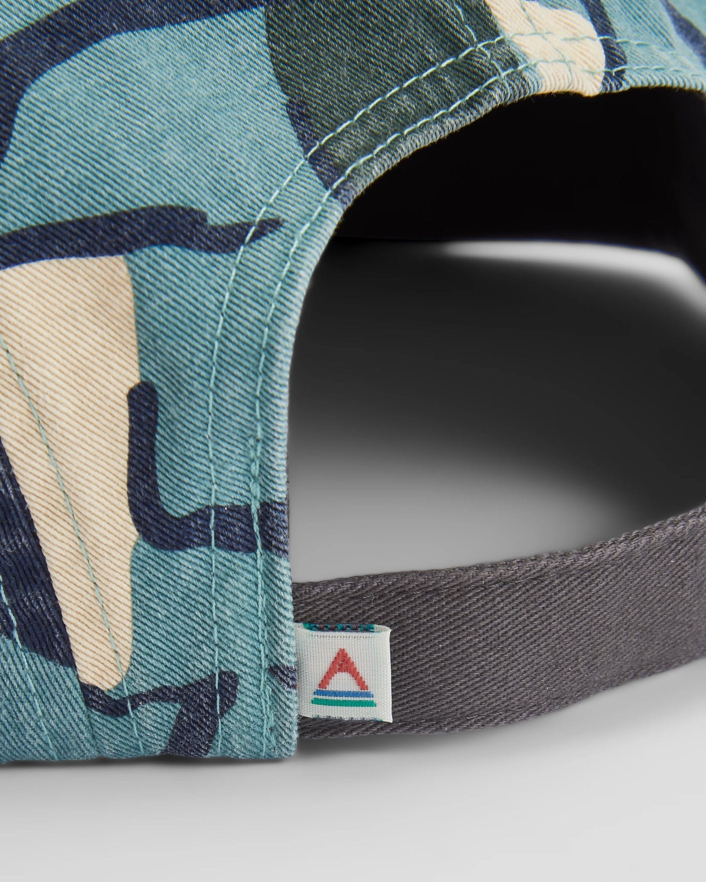 Coast Organic Cotton 5 Panel Snapback Cap - Abstract Trails Arctic